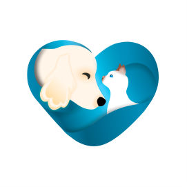 logo joaomijao logo joaomijao